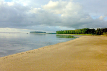 image3